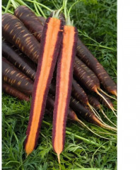 Семена моркови «Карамель с начинкой» - Фото 2