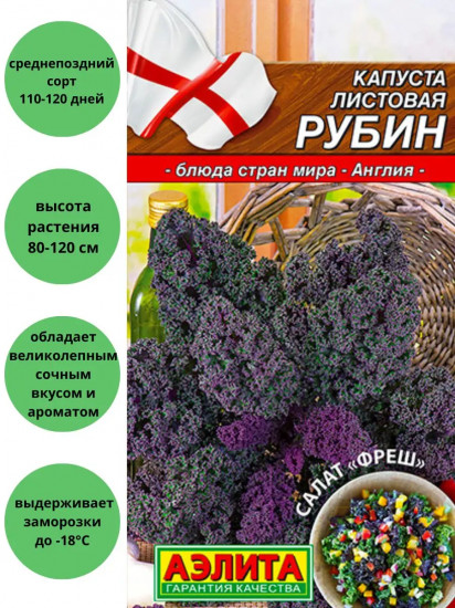 Семена капусты листовой «Рубин»