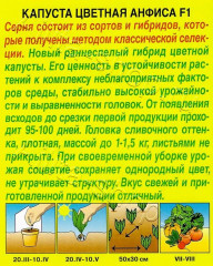 Семена капусты цветной «Анфиса F1» - Фото 1