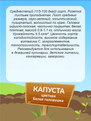 Семена капусты цветной «Белая головушка» - Фото 2