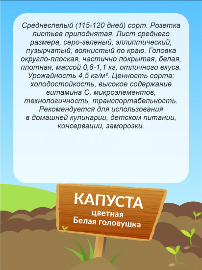 Семена капусты цветной «Белая головушка»