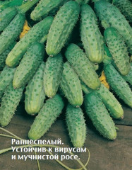 Семена огурцов «Верный дружок F1» - Фото 1