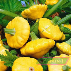 Семена патиссонов «Грошик» - Фото 6