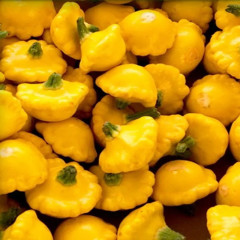 Семена патиссонов «Грошик» - Фото 8