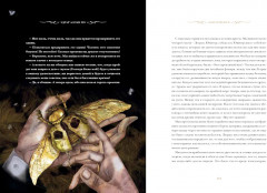 Безумие памяти - Фото 9