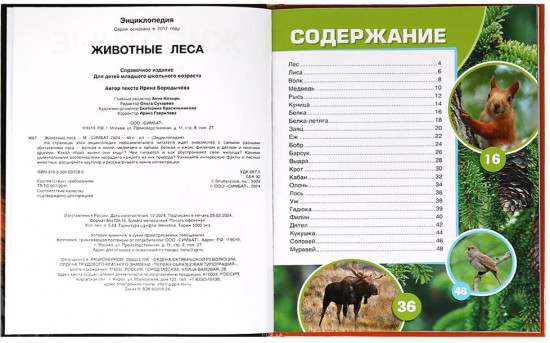 Животные леса