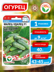 Семена огурцов «Малец-удалец F1» - Фото 1