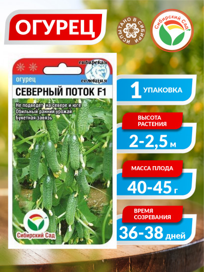 Семена огурцов «Северный поток F1»