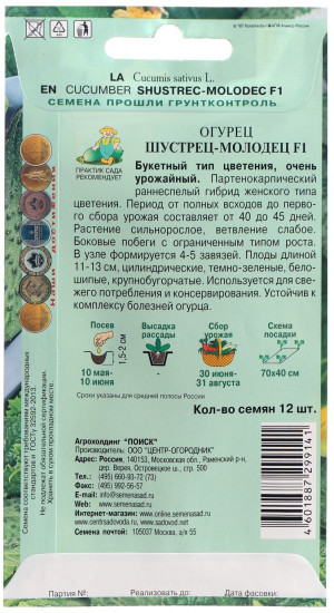 Семена огурцов «Шустрец-молодец F1»