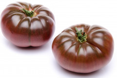 Семена томата «Зефир в шоколаде» - Фото 2