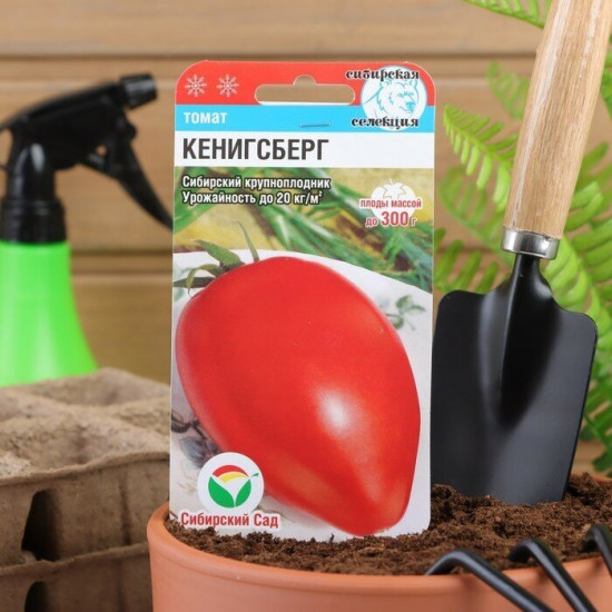 Семена томата «Кенигсберг»