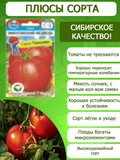 Семена томата «Минусинский медведь»