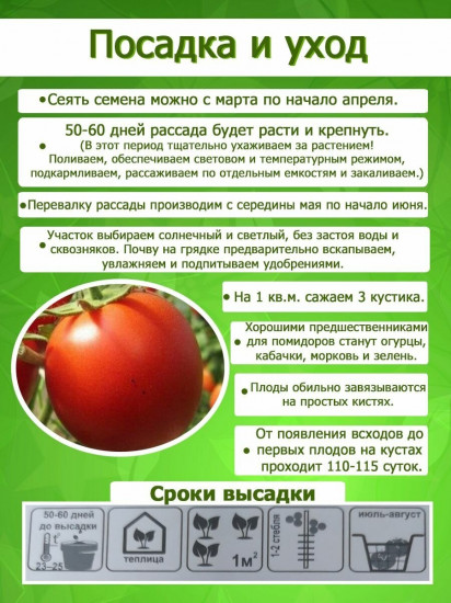 Семена томата «Минусинский медведь»