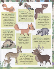 Приключения в зелёном лесу. 50 наклеек - Фото 2