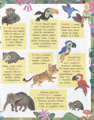 Приключения в разноцветных джунглях. 50 наклеек - Фото 2