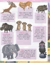 Приключения в жаркой саванне. 50 наклеек - Фото 2