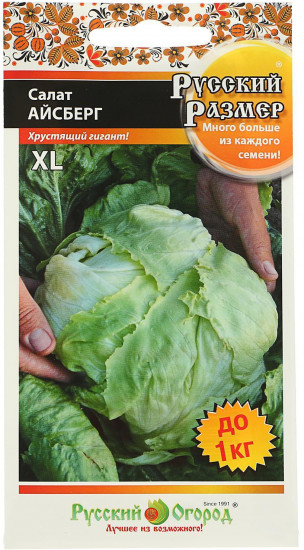 Семена салата «Мэй Кинг»