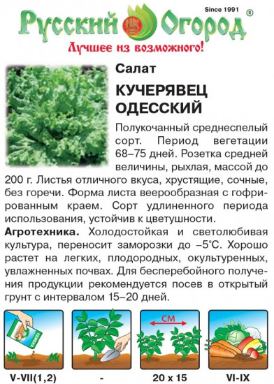 Семена салата кочанного «Кучерявец одесский»
