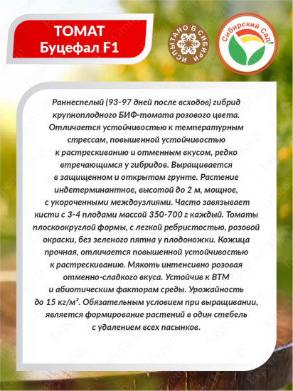 Семена томата «Буцефал F1»