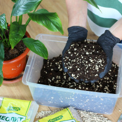 Цеолит - Фото 2