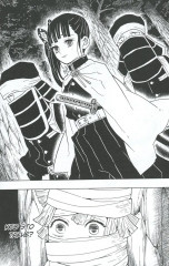 Комплект из 5 книг: Истребитель демонов. С 6 по 10 том - Фото 7