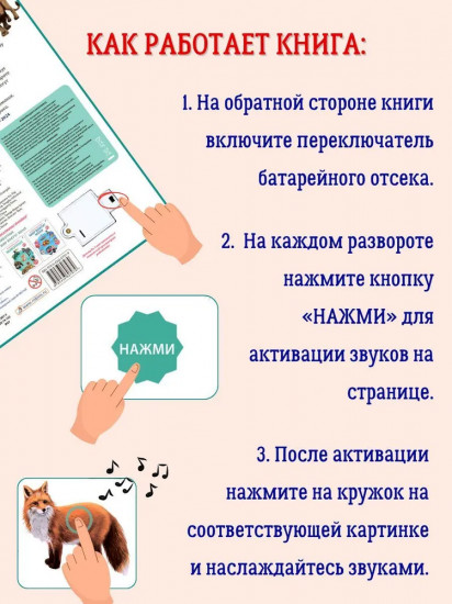 50 звуков. Животные