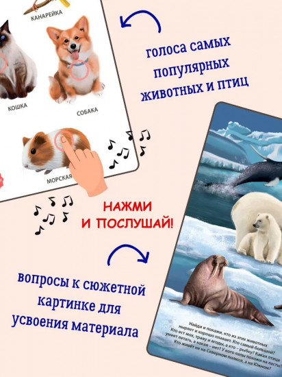 50 звуков. Животные