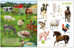 50 звуков. Животные - Фото 5