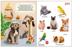 50 звуков. Животные - Фото 6