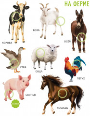 50 звуков. Животные - Фото 10
