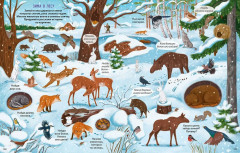 Большая книга виммельбухов - Фото 13