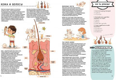 Книга с секретами. Секреты тела человека - Фото 11