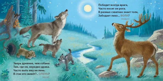 Книжки-картонки. Загадки-обманки. Дикие животные