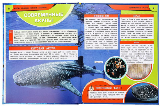 Акулы. Опасные морские хищники