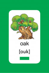 100 первых английских слов. Набор карточек - Фото 14