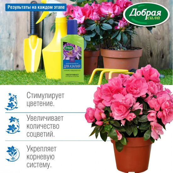 Удобрение для азалий