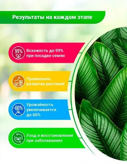 Удобрение-стимулятор «Суспензия хлореллы концентрат»