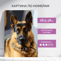 Картина по номерам «Верный друг» - Фото 1