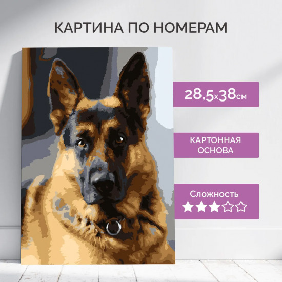 Картина по номерам «Верный друг»