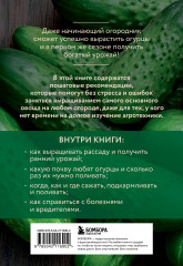 Огурцы. Богатый урожай без ошибок - Фото 1