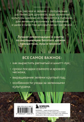 Лук, чеснок, зелень. Посадка. Уход. Защита. Уборка. Хранение - Фото 1