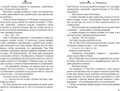 Зажигалка и Принцесса - Фото 4