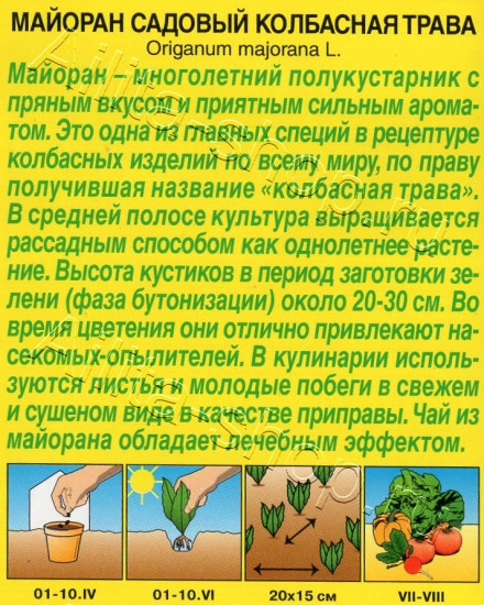 Семена майорана садового «Колбасная трава»