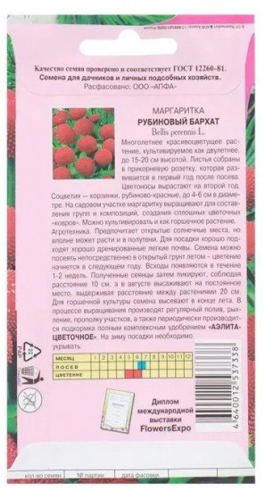 Семена маргаритки «Рубиновый бархат»
