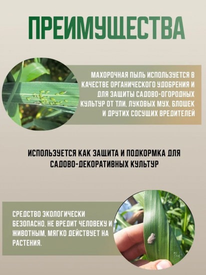 Инсектицид «Махорка пыль»