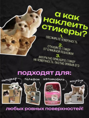 Набор наклеек для телефона - Фото 1
