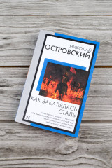 Как закалялась сталь - Фото 4