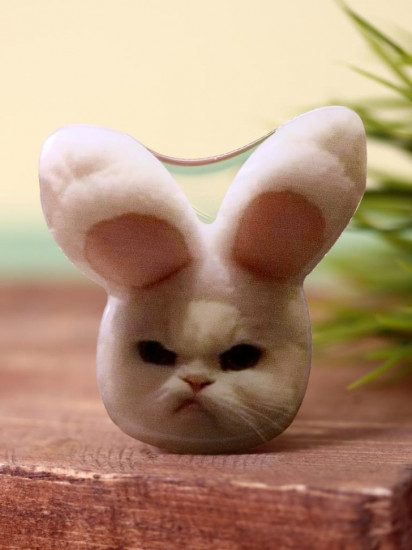 Попсокет «Angry cat»