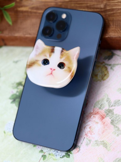 Попсокет «Beautiful cat»