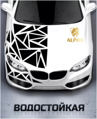 Наклейка на автомобиль - Фото 4